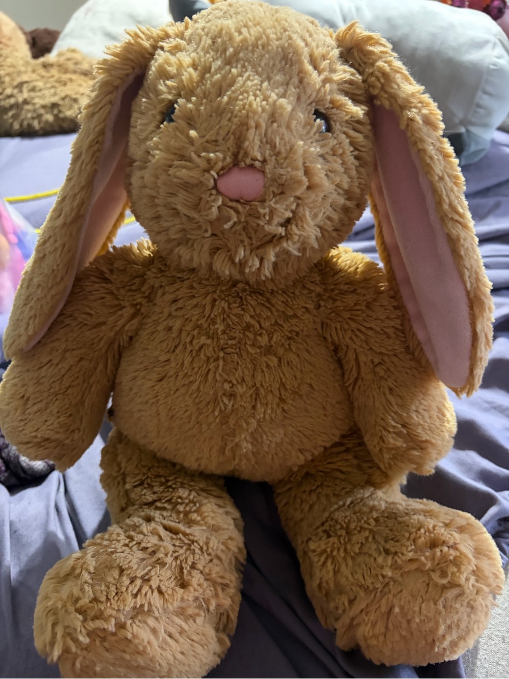 Build a bear bunny